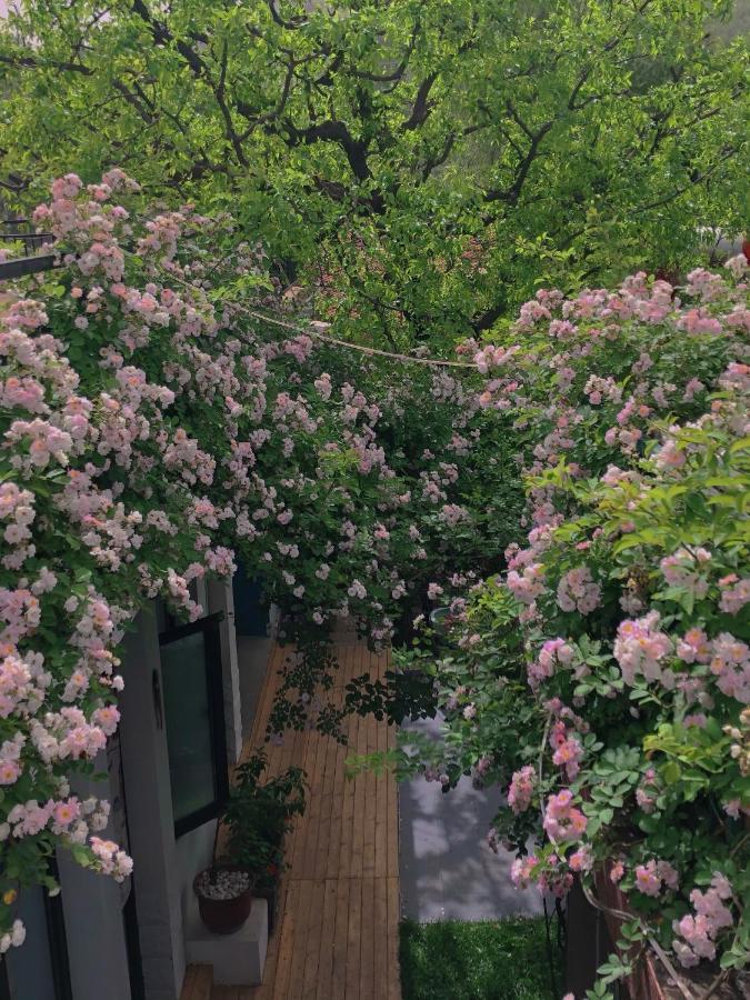 Encounter Garden Great Wall Holiday Guesthouse 베이징 외부 사진