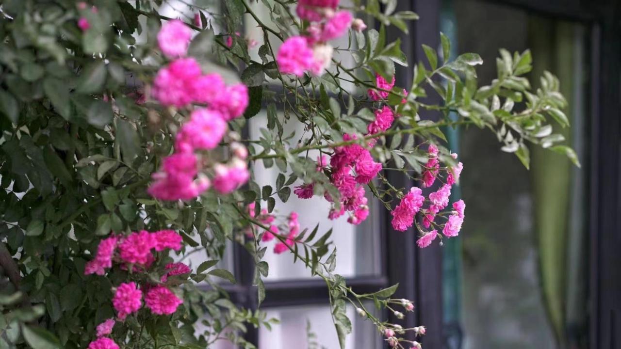 Encounter Garden Great Wall Holiday Guesthouse 베이징 외부 사진